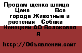 Продам щенка шпица.  › Цена ­ 15 000 - Все города Животные и растения » Собаки   . Ненецкий АО,Волоковая д.